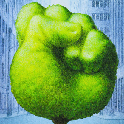 Pawel  - Fist (2025)