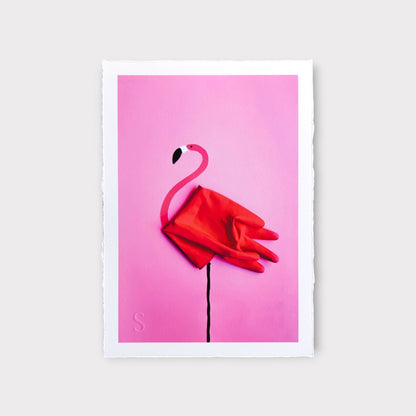 Romain Joly - Flamingo (2025)