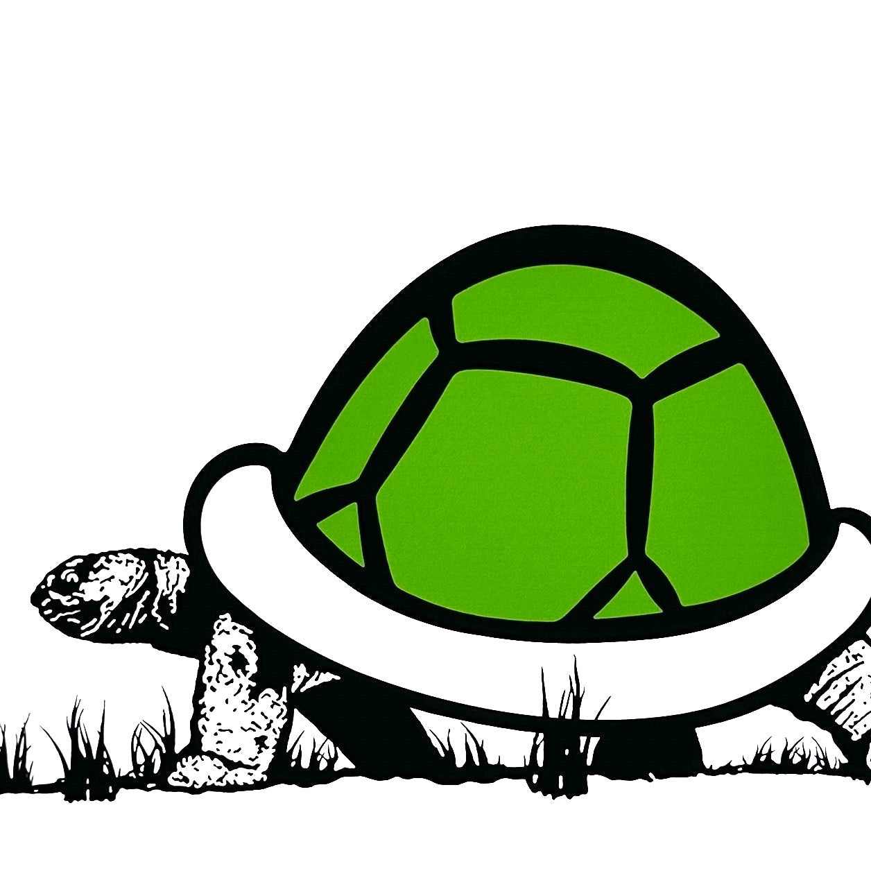 TRUST iCON -  Koopa Troopa (2026)