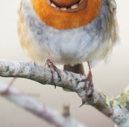 Things I Have Drawn - Claire Likes the Cold (2025)