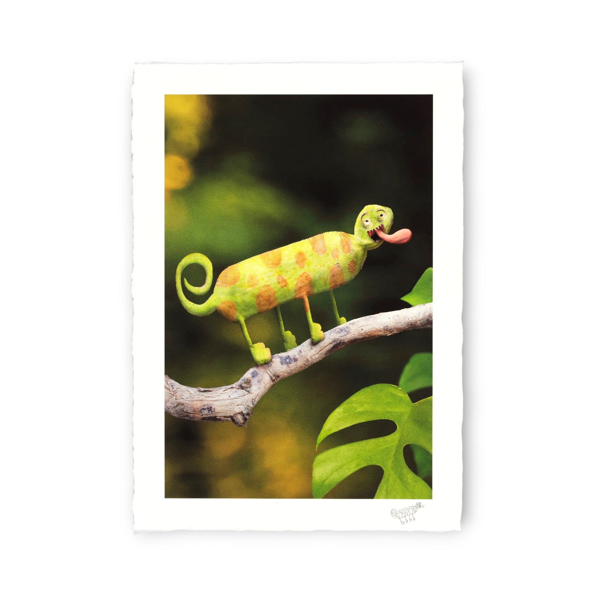Colorful chameleon on a branch with a blurred green background