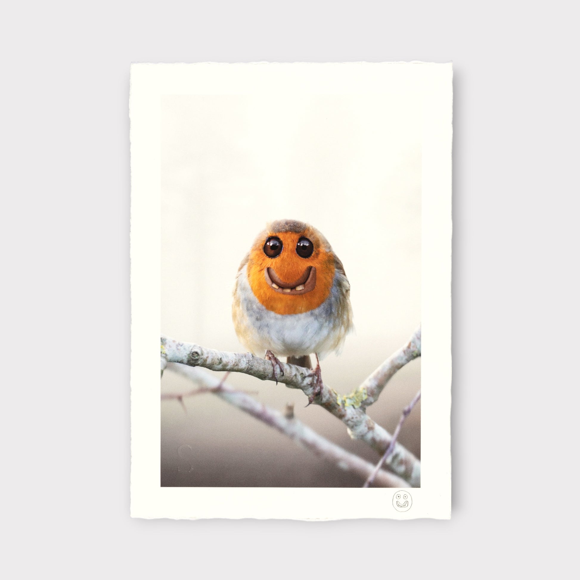 Illustrated robin with a smile on a branch against a light background