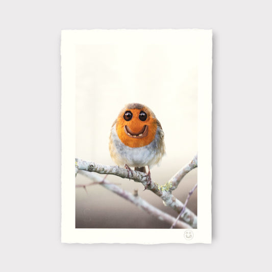 Illustrated robin with a smile on a branch against a light background