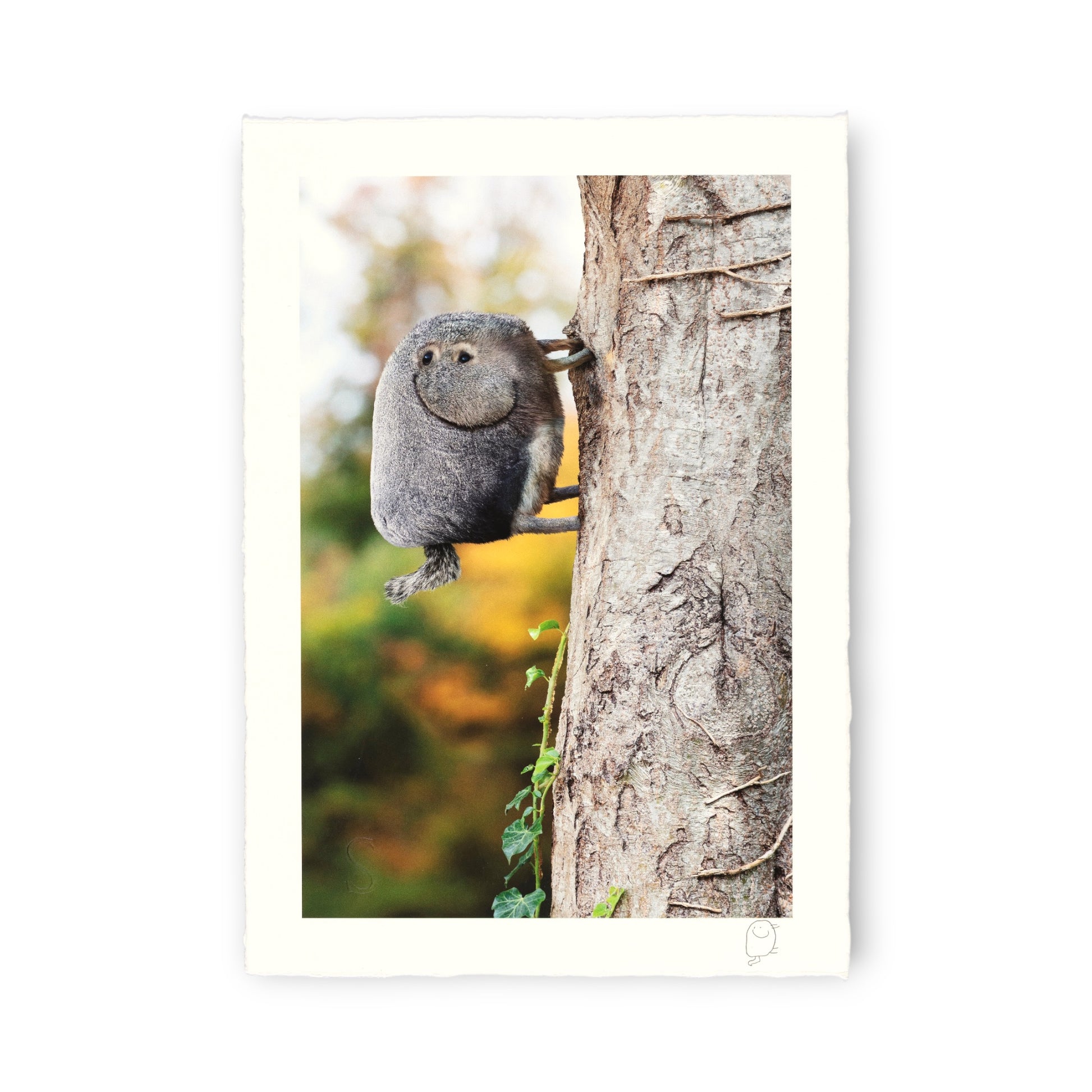 Squirrel perched on a tree trunk with a blurred natural background