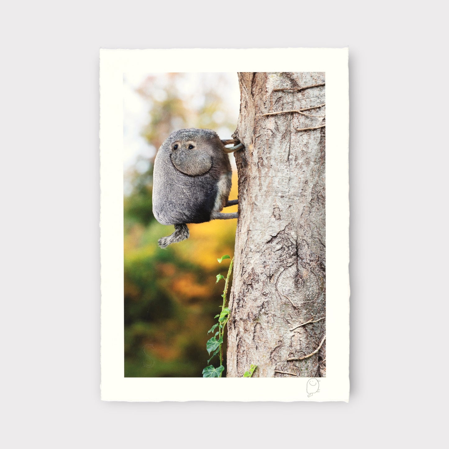 Squirrel perched on a tree trunk with a blurred natural background