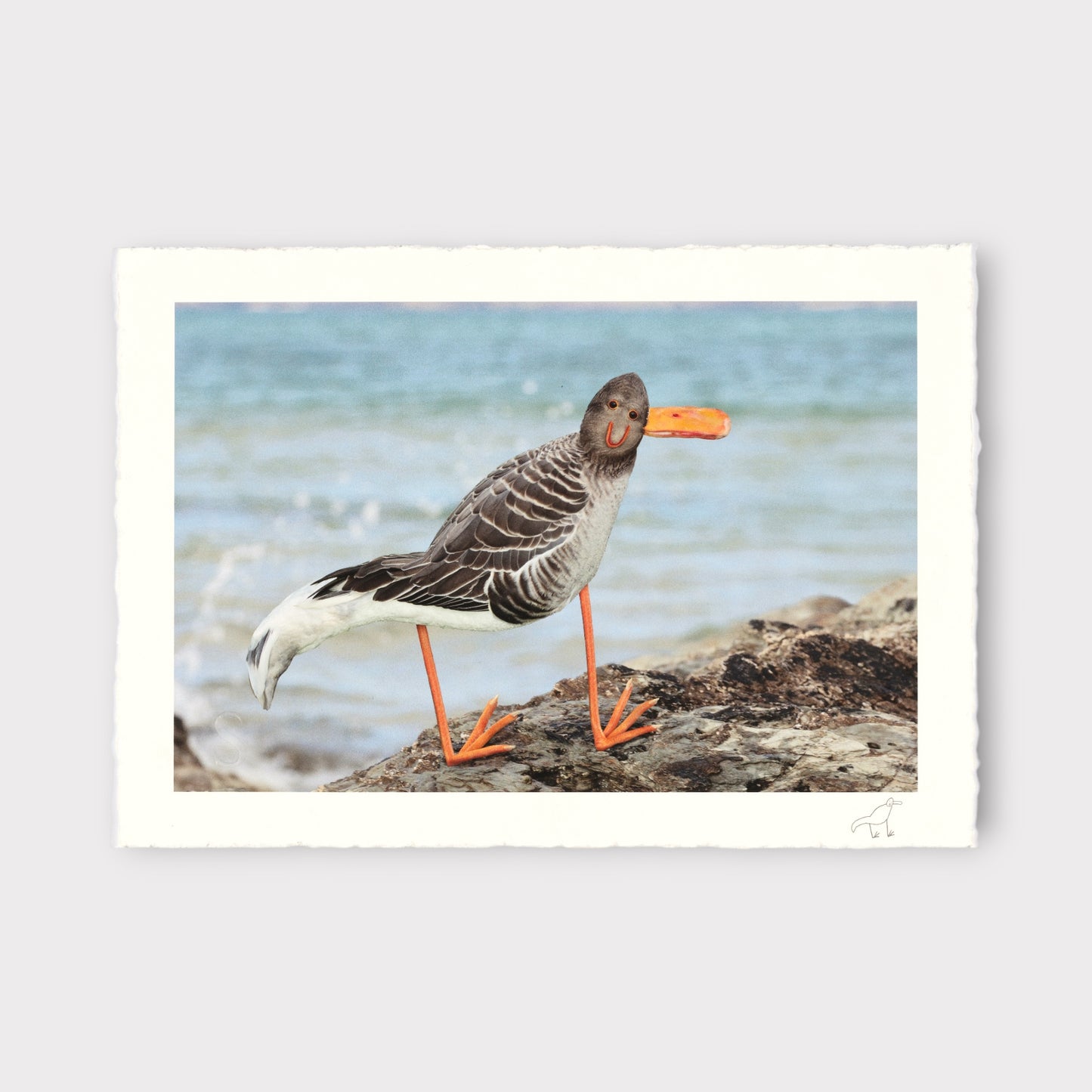 Bird with an orange beak standing on a rock by the water