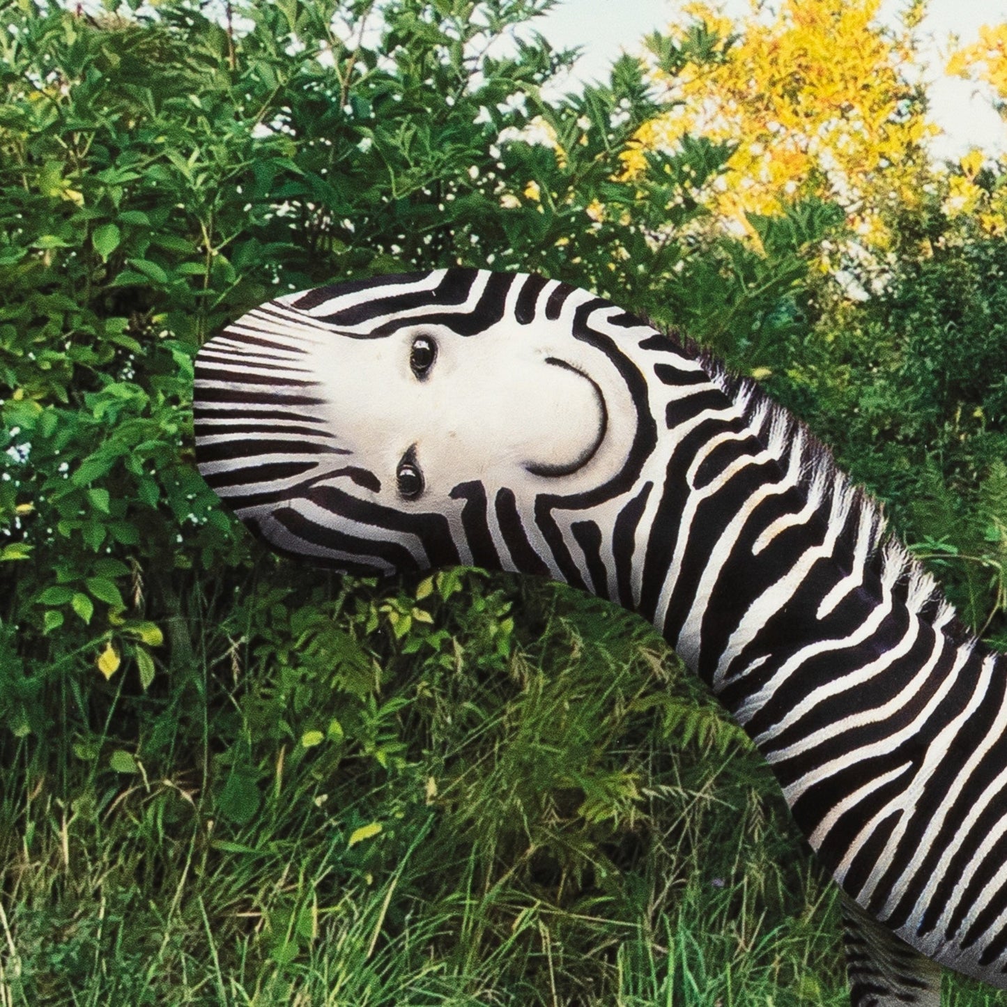 Things I Have Drawn - Maggie Doesn't Care (2025)