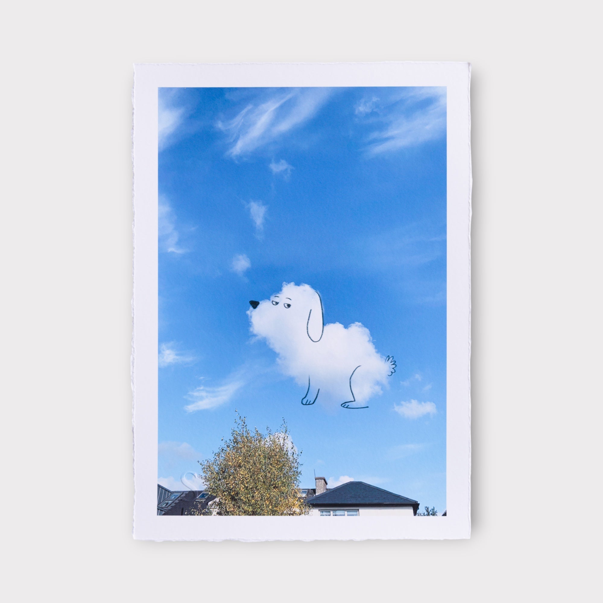 A Daily Cloud - Harumph (2025) – STOWE GALLERY