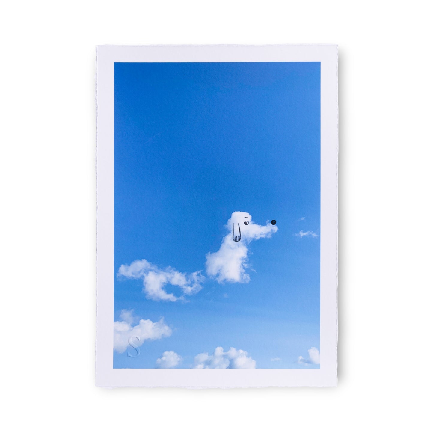 A Daily Cloud - Wait, What? (2025)