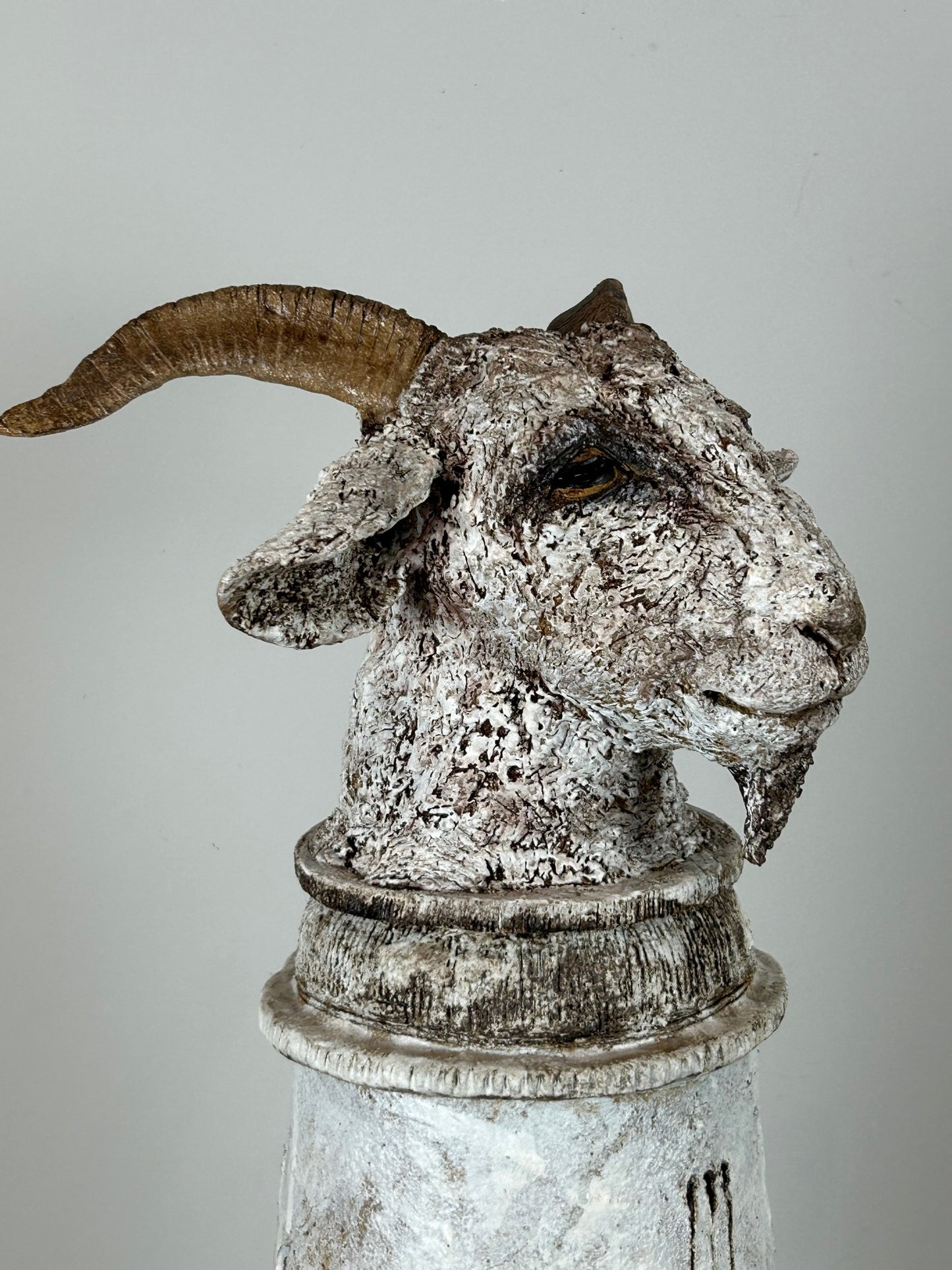 Jane Flint - Raffael