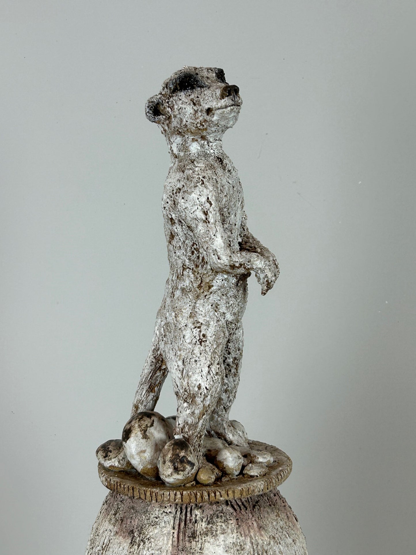 Jane Flint - Tippy