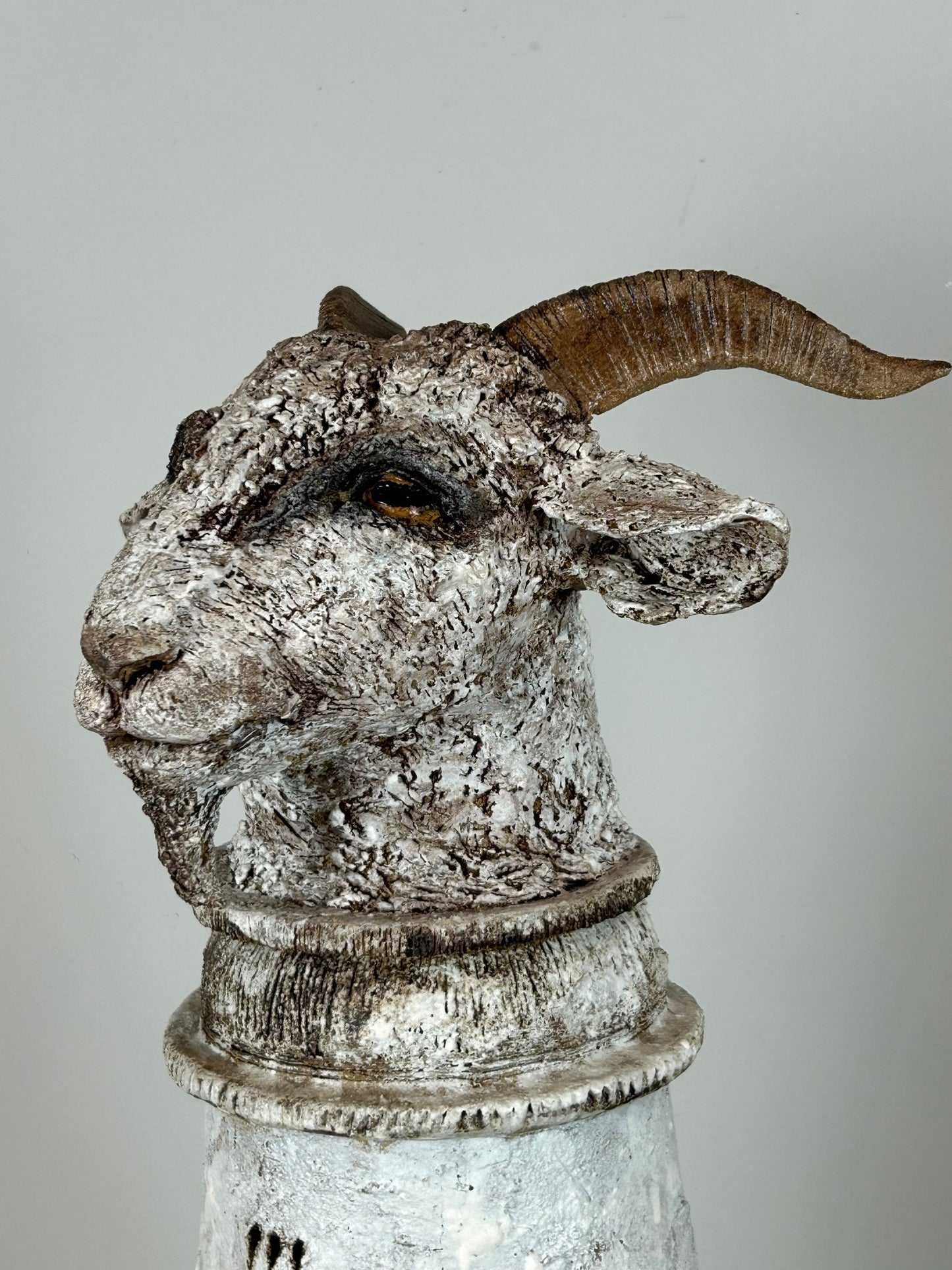 Jane Flint - Raffael