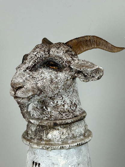 Jane Flint - Raffael