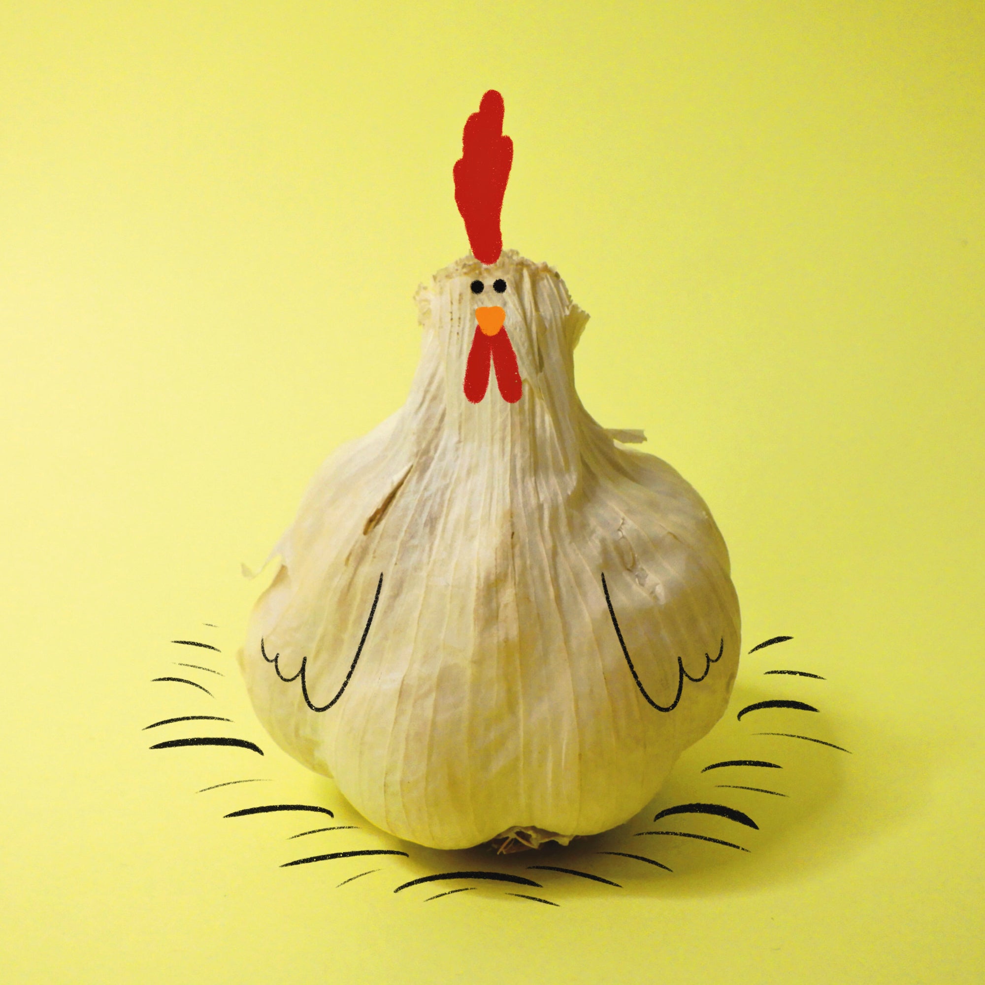 garlic with cartoon features to look like chicken on yellow background