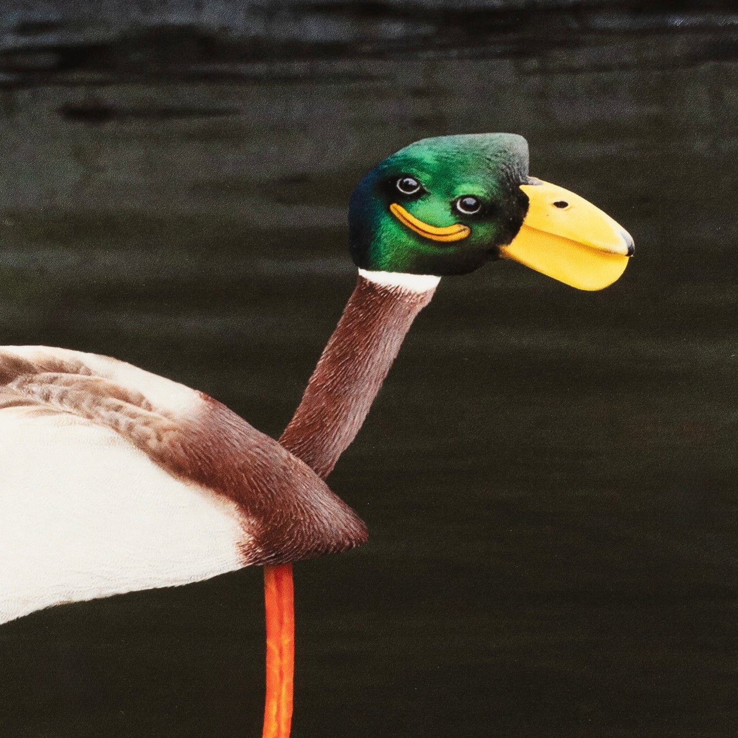 Things I Have Drawn  - Naomi Holds Her Breath (2025)