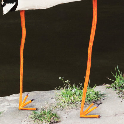 Things I Have Drawn  - Naomi Holds Her Breath (2025)