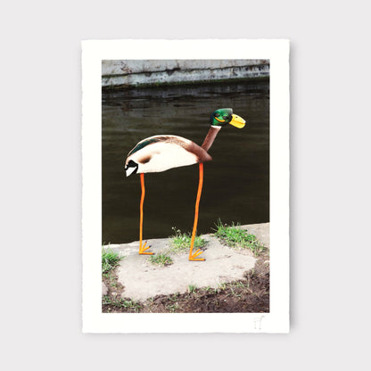 Things I Have Drawn  - Naomi Holds Her Breath (2025)