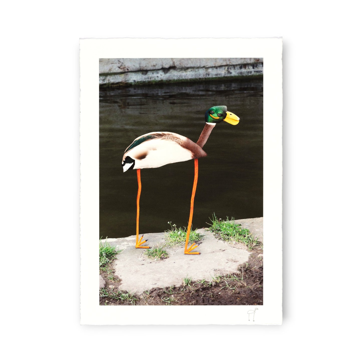 Things I Have Drawn  - Naomi Holds Her Breath (2025)