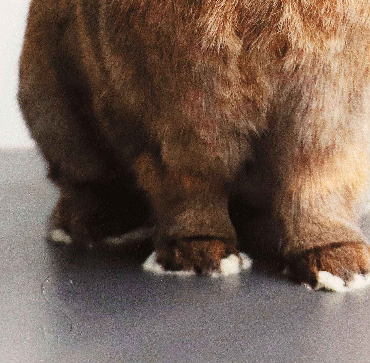 Things I Have Drawn - At Least Hazel's Happy (2025)