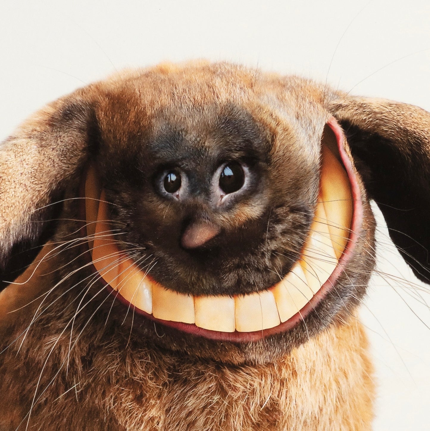 Things I Have Drawn - At Least Hazel's Happy (2025)