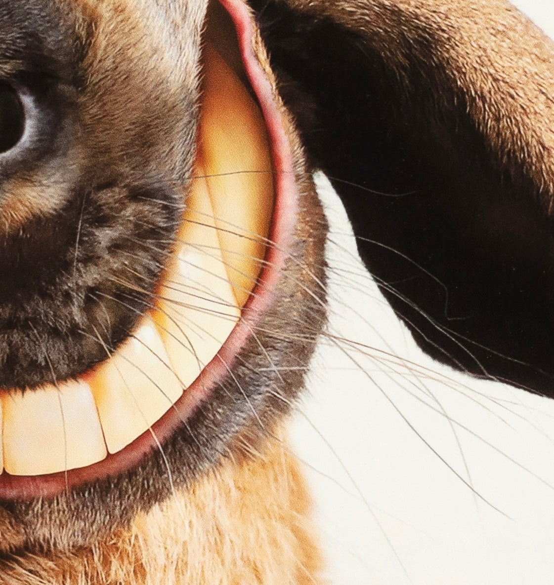 Things I Have Drawn - At Least Hazel's Happy (2025)