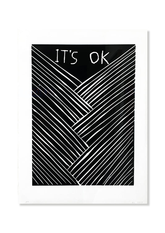 David Shrigley - It's OK (2015)